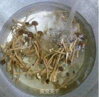 茶树菇炒土豆丝的做法步骤：3