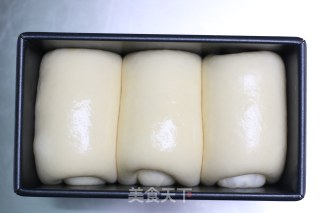 北海道肉松吐司的做法步骤：14