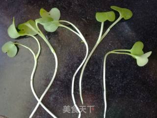 萝卜苗的做法步骤：1