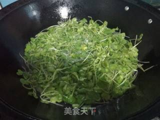 萝卜苗的做法步骤：6