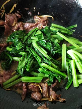 牛肉片炒春菜的做法步骤：8