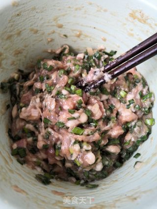 韭菜鲜肉锅贴的做法步骤：4