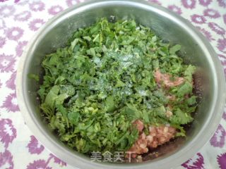 香菜猪肉馅水饺的做法步骤：4
