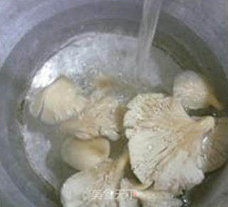 平菇莴笋日本豆腐的做法步骤：3