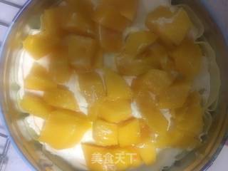 芒果千层盒子的做法步骤：16