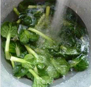 茭白香菇炒塔苦菜的做法步骤：3