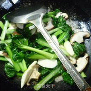 茭白香菇炒塔苦菜的做法步骤：9