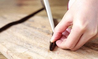 三分钟自制香草糖，完美hold住所有甜品糕点！的做法步骤：1