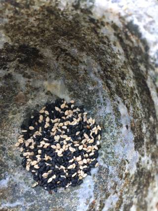 芝麻盐版虾仁沙拉的做法步骤：16