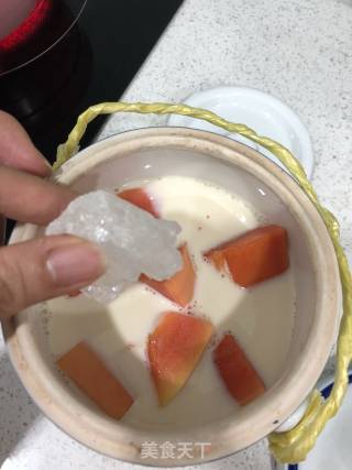 木瓜牛奶炖花胶的做法步骤：2