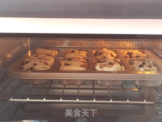 炼奶蜜豆蔓越莓小餐包的做法步骤：14