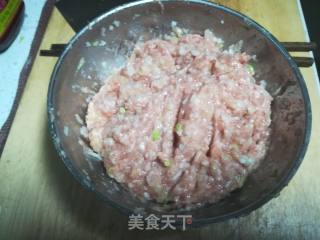 腐乳小肉包的做法步骤：4