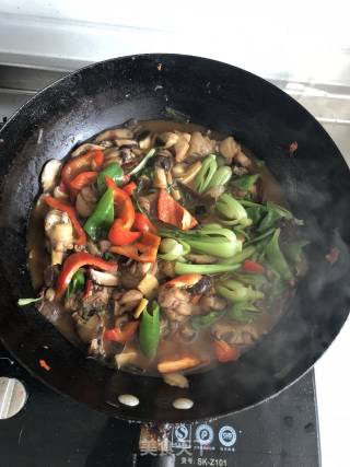 黄焖鸡的做法步骤：9