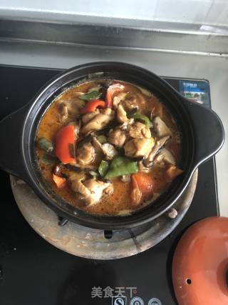 黄焖鸡的做法步骤：10