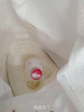 萝卜丸子的做法步骤：4