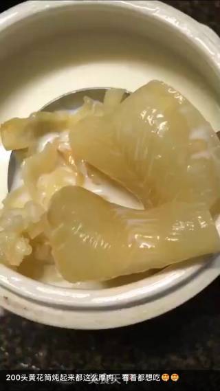 黄花胶炖牛奶的做法步骤：2