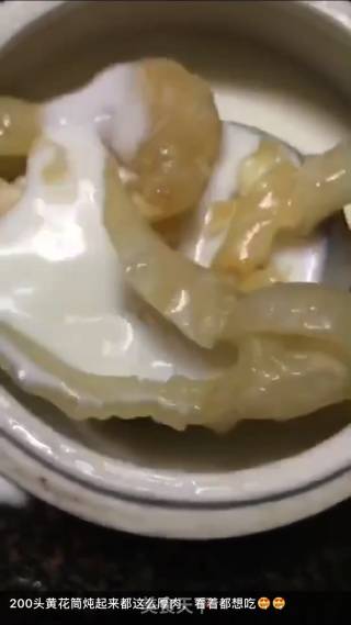 黄花胶炖牛奶的做法步骤：3