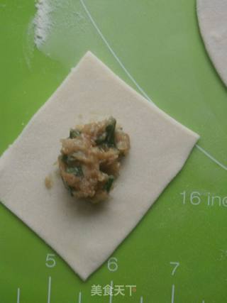 紫菜馄炖汤的做法步骤：6