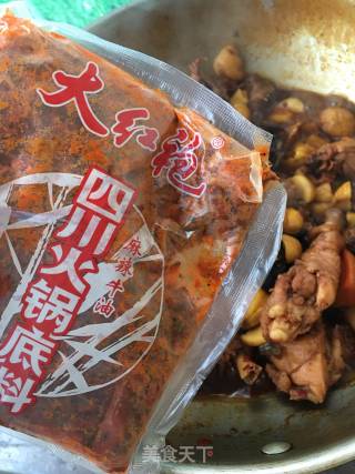 红烧栗子鸡的做法步骤：8