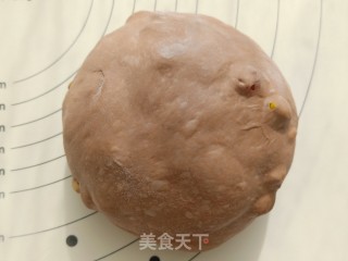 可可坚果欧包的做法步骤：7