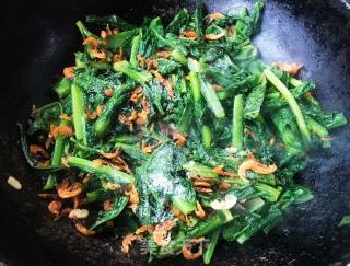 磷虾煸莴笋叶的做法步骤：8