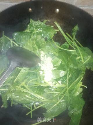 蒜蓉菠菜的做法步骤：3