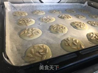 坚果薄脆饼干的做法步骤：9
