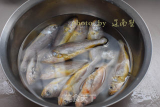 豆瓣烧小黄鱼的做法步骤：1