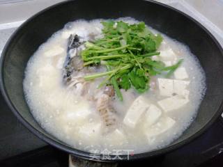 豆腐鱼头汤的做法步骤：8