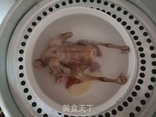 蒸板栗鸽子汤的做法步骤：6