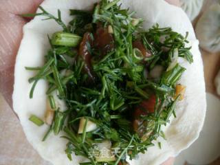 茴香煎饺的做法步骤：6