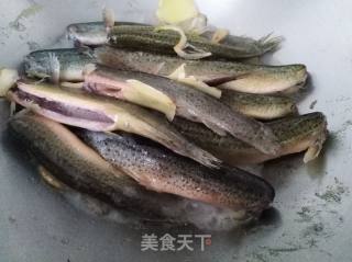 益补上品-红烧泥鳅的做法步骤：6