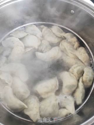三鲜馅饺子的做法步骤：16