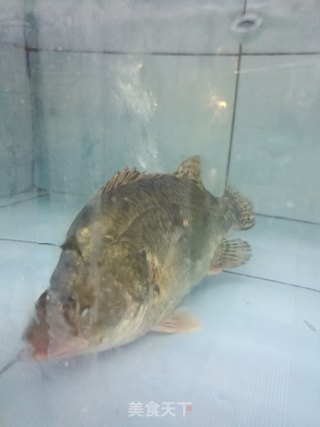 窖香糟辣鱼--开芯苞谷的做法步骤：2