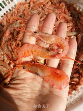 野生虾米制作的做法步骤：1