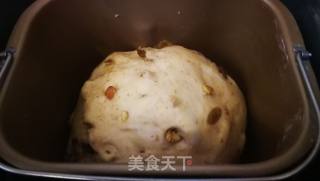 核桃全麦面包的做法步骤：10