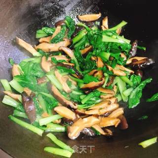 青菜炒香菇的做法步骤：7