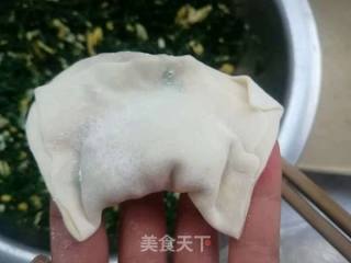 酸辣汤荠菜饺子的做法步骤：5