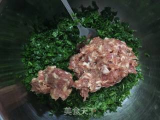 菊花叶大馄饨的做法步骤：5