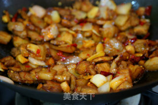 豆瓣青椒炒肉的做法步骤：16