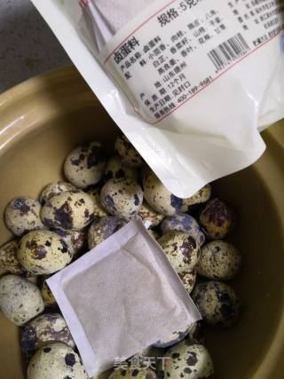 五香茶叶鹌鹑蛋的做法步骤：3