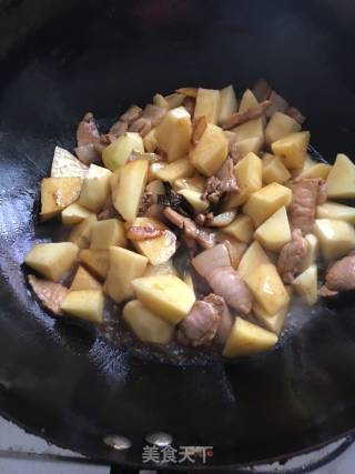 土豆猪肉炖粉条的做法步骤：9