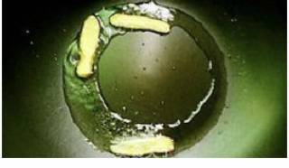 鲫鱼豆腐汤的做法步骤：3