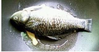 鲫鱼豆腐汤的做法步骤：4