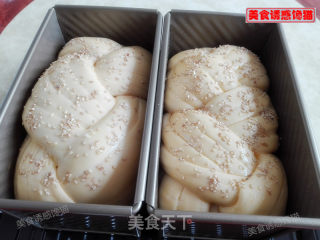 辫子肉松吐司（一次性发酵）的做法步骤：12