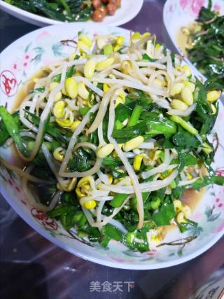 韭菜炒黄豆芽的做法步骤：7