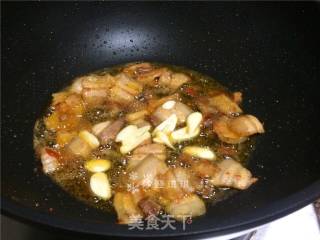 藿香竹笋小炒肉的做法步骤：9