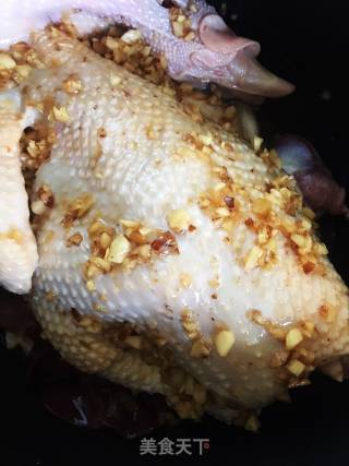 沙姜焗鸡的做法步骤：3
