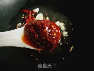 牛肉白菜炖粉条的做法步骤：5