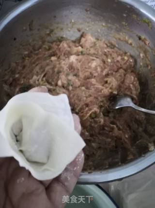 虾肉馄饨的做法步骤：7
